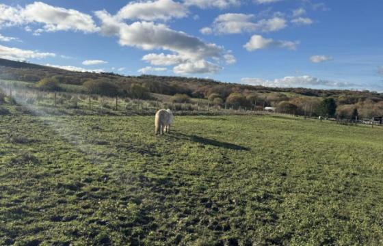 Development Potential in Garnant photo